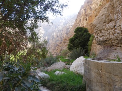 Wadi Shab