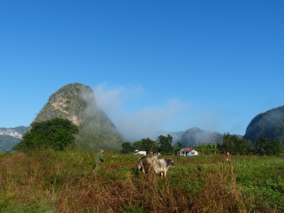 La Vallée de Viñales